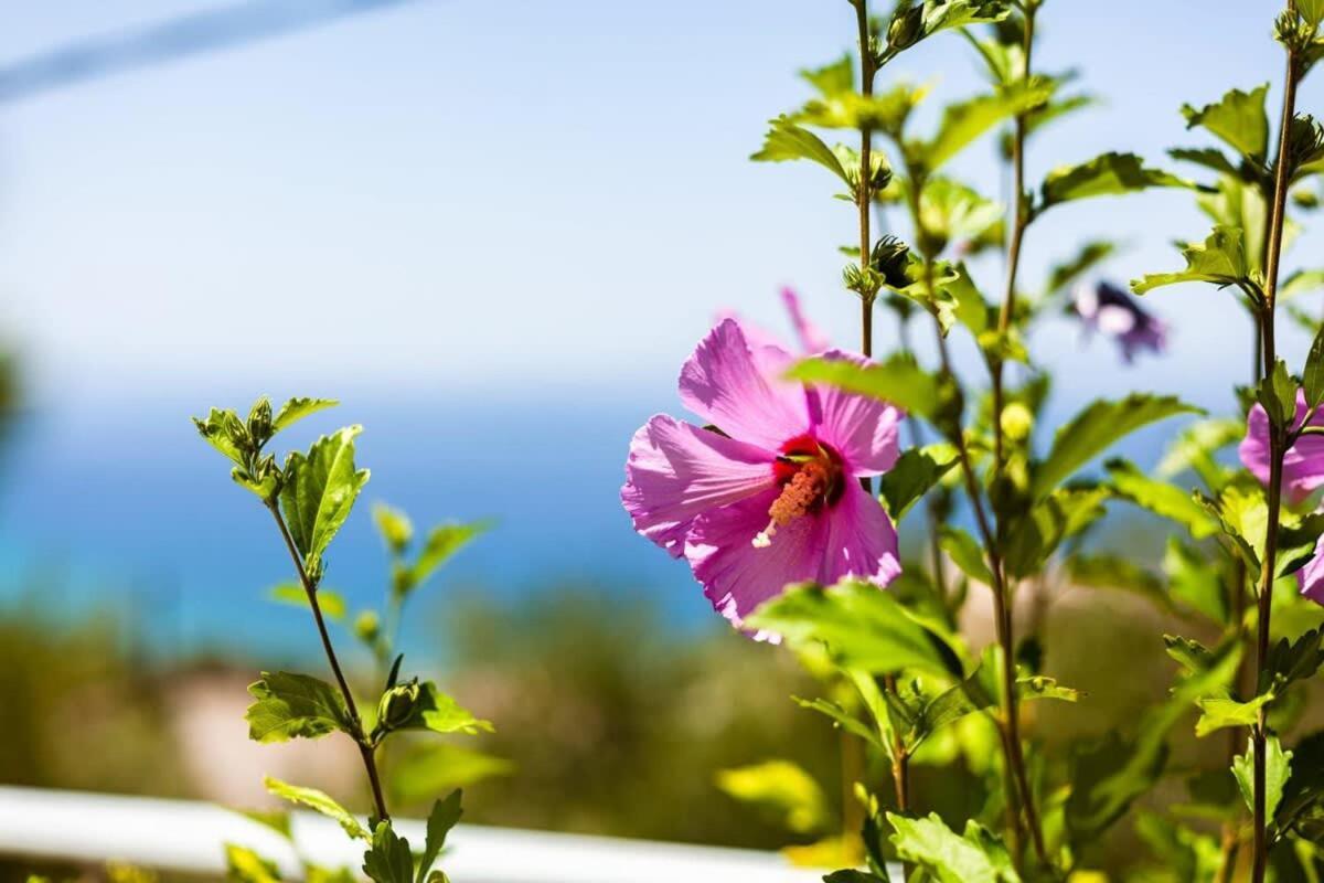 Aigli Summer Getaway - Seaview Lux Retreat Verga Kalamata Exteriör bild
